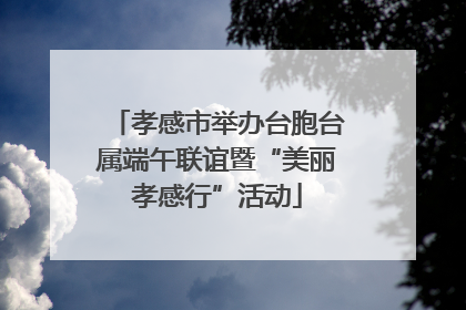 孝感市举办台胞台属端午联谊暨“美丽孝感行”活动
