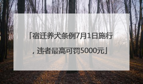 宿迁养犬条例7月1日施行，违者最高可罚5000元