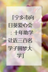 宁乡市向日葵爱心会：十年助学让近三百名学子圆梦大学