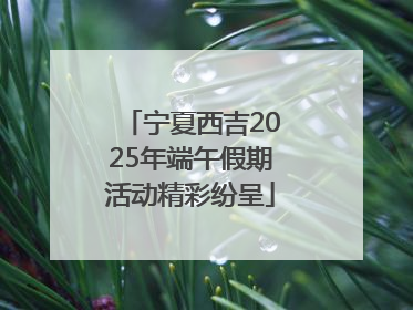 宁夏西吉2025年端午假期活动精彩纷呈
