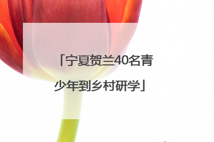 宁夏贺兰40名青少年到乡村研学