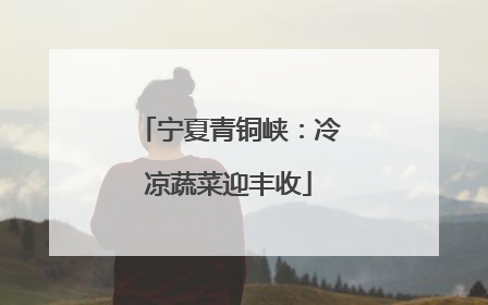 宁夏青铜峡：冷凉蔬菜迎丰收