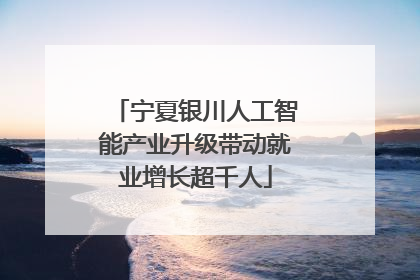 宁夏银川人工智能产业升级带动就业增长超千人