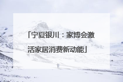 宁夏银川：家博会激活家居消费新动能