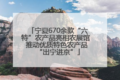 宁夏670余款“六特”农产品亮相农展馆 推动优质特色农产品“出宁进京”