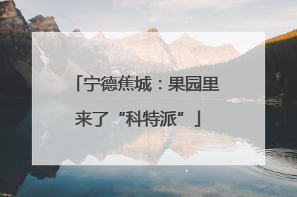 宁德蕉城：果园里来了“科特派”