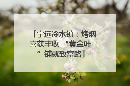 宁远冷水镇：烤烟喜获丰收 “黄金叶”铺就致富路