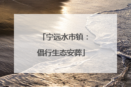 宁远水市镇：倡行生态安葬