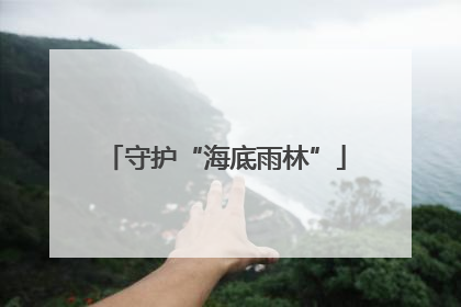 守护“海底雨林”