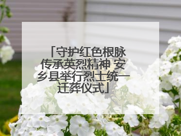 守护红色根脉 传承英烈精神 安乡县举行烈士统一迁葬仪式