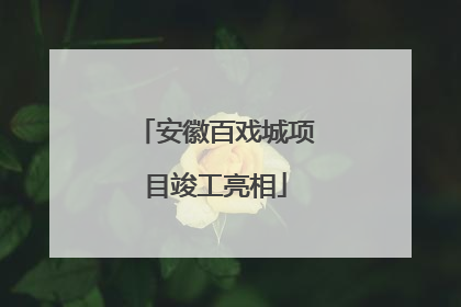 安徽百戏城项目竣工亮相