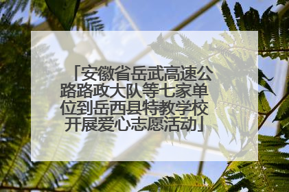 安徽省岳武高速公路路政大队等七家单位到岳西县特教学校开展爱心志愿活动