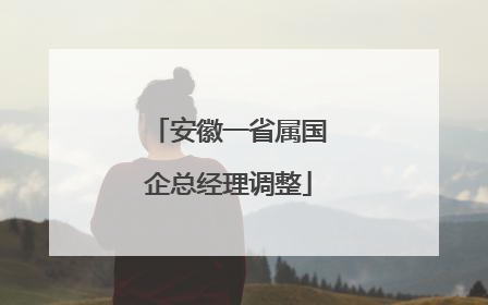 安徽一省属国企总经理调整
