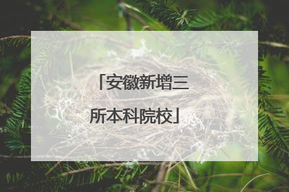安徽新增三所本科院校