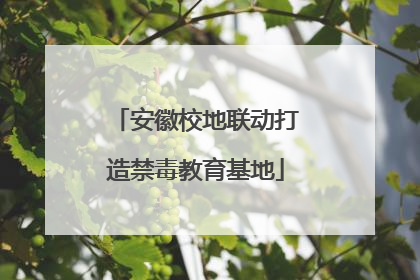安徽校地联动打造禁毒教育基地