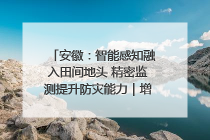 安徽：智能感知融入田间地头 精密监测提升防灾能力｜增发国债气象项目落地见效系列报道