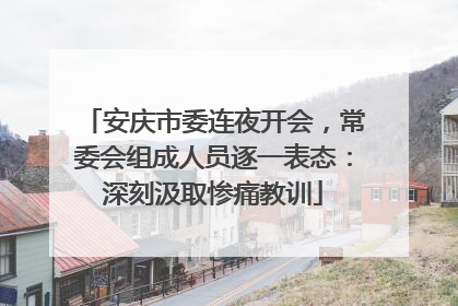 安庆市委连夜开会，常委会组成人员逐一表态：深刻汲取惨痛教训