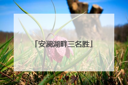 安澜湖畔三名胜