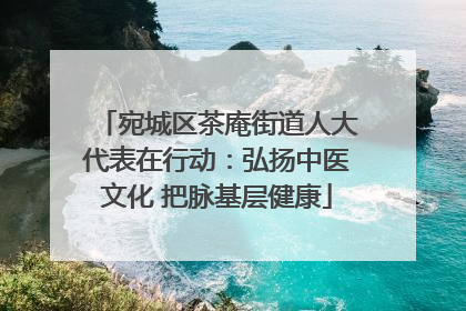 宛城区茶庵街道人大代表在行动：弘扬中医文化 把脉基层健康
