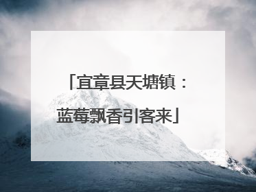 宜章县天塘镇：蓝莓飘香引客来