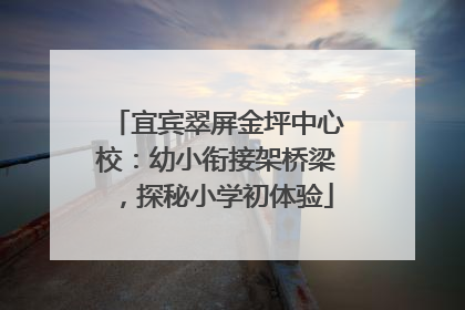 宜宾翠屏金坪中心校：幼小衔接架桥梁，探秘小学初体验