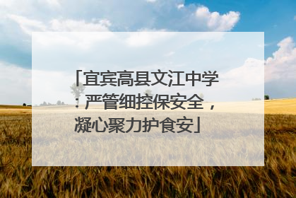 宜宾高县文江中学：严管细控保安全，凝心聚力护食安