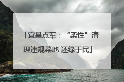 宜昌点军：“柔性”清理违规菜地 还绿于民