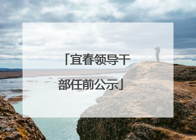 宜春领导干部任前公示