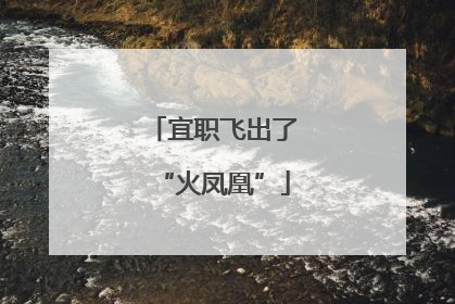 宜职飞出了“火凤凰”
