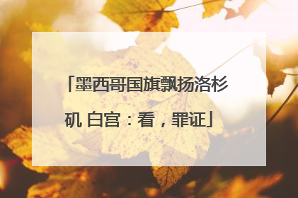墨西哥国旗飘扬洛杉矶 白宫：看，罪证