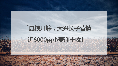 夏粮开镰，大兴长子营镇近6000亩小麦迎丰收