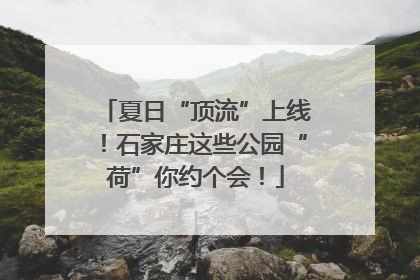 夏日“顶流”上线！石家庄这些公园“荷”你约个会！