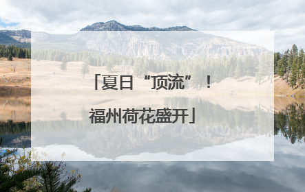 夏日“顶流”！福州荷花盛开