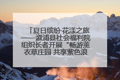 夏日缤纷·花漾之旅——溆浦县社会福利院组织长者开展“畅游薰衣草庄园 共享紫色浪漫”户外活动