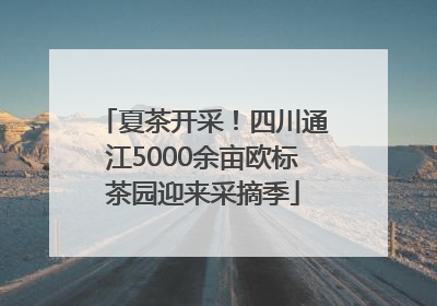 夏茶开采！四川通江5000余亩欧标茶园迎来采摘季