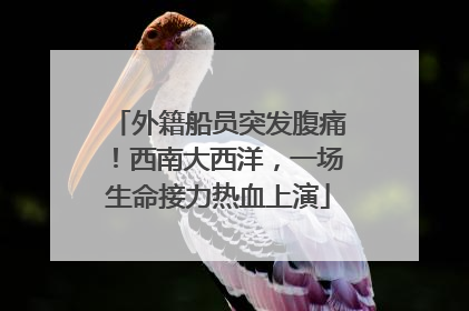 外籍船员突发腹痛！西南大西洋，一场生命接力热血上演
