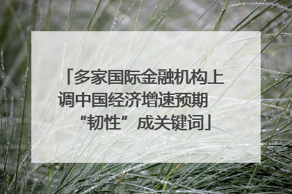 多家国际金融机构上调中国经济增速预期 “韧性”成关键词