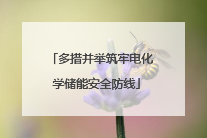多措并举筑牢电化学储能安全防线
