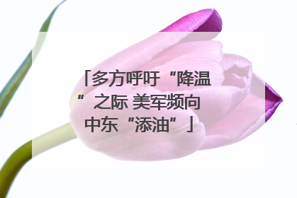 多方呼吁“降温”之际 美军频向中东“添油”