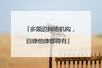 多频道网络机构，自律他律都得有