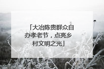大冶陈贵群众自办孝老节，点亮乡村文明之光