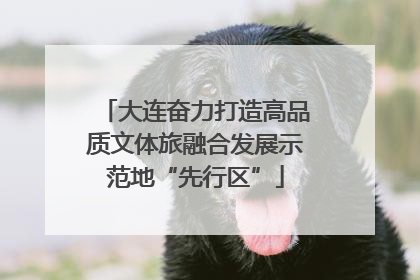 大连奋力打造高品质文体旅融合发展示范地“先行区”