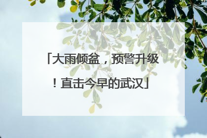 大雨倾盆，预警升级！直击今早的武汉