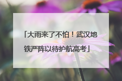 大雨来了不怕！武汉地铁严阵以待护航高考