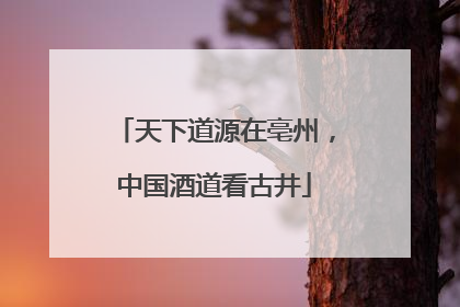 天下道源在亳州，中国酒道看古井
