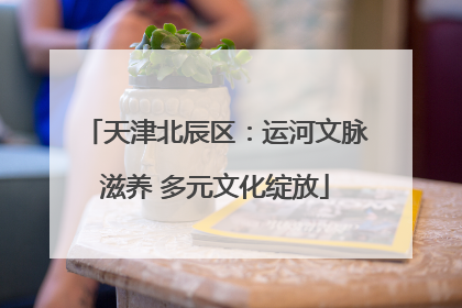 天津北辰区：运河文脉滋养 多元文化绽放