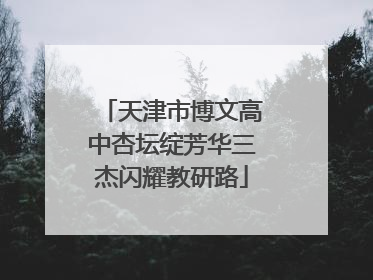 天津市博文高中杏坛绽芳华三杰闪耀教研路
