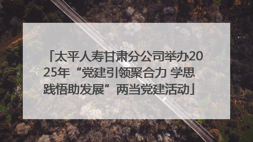 太平人寿甘肃分公司举办2025年“党建引领聚合力 学思践悟助发展”两当党建活动