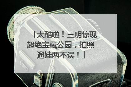 太酷啦！三明惊现超绝宝藏公园，拍照遛娃两不误！