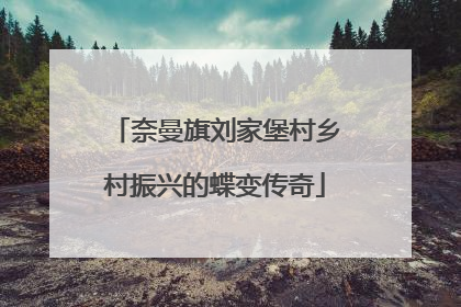 奈曼旗刘家堡村乡村振兴的蝶变传奇